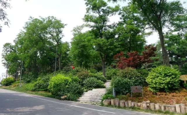 九游会J9 J9九游会玩转威海 威海免费景点大全！假期不花钱随便浪！(图6)