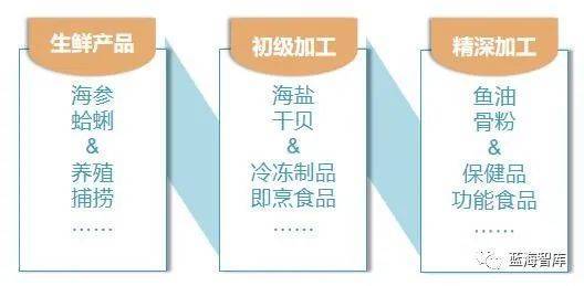 海J9九游会 九游会J9洋食品行业分析(图1)