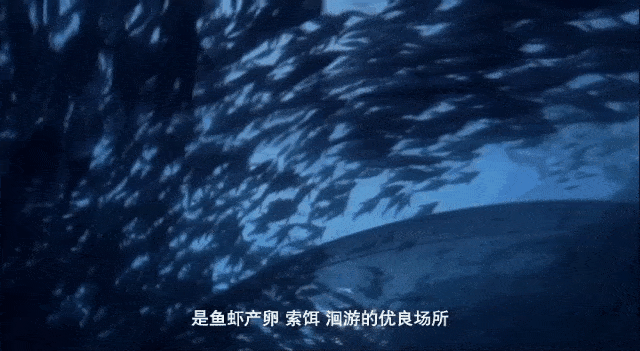 J9九游会 九游会J9这个产业荣成竟有这么多“全国最大”(图5)