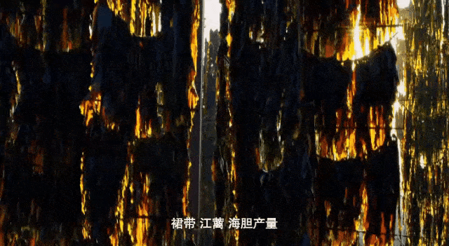 J9九游会 九游会J9这个产业荣成竟有这么多“全国最大”(图6)