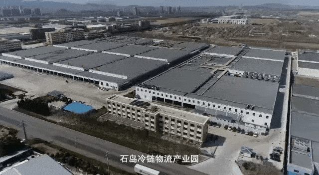 J9九游会 九游会J9这个产业荣成竟有这么多“全国最大”(图9)