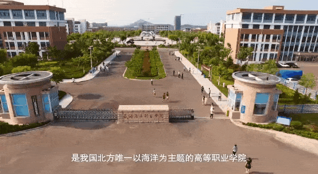 J9九游会 九游会J9这个产业荣成竟有这么多“全国最大”(图10)