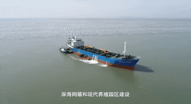 J9九游会 九游会J9这个产业荣成竟有这么多“全国最大”(图12)