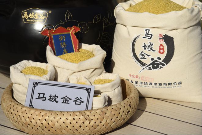 “至诚山东”与您相约第五届丝绸之路国际博览会九游会J9 J9九游会(图9)