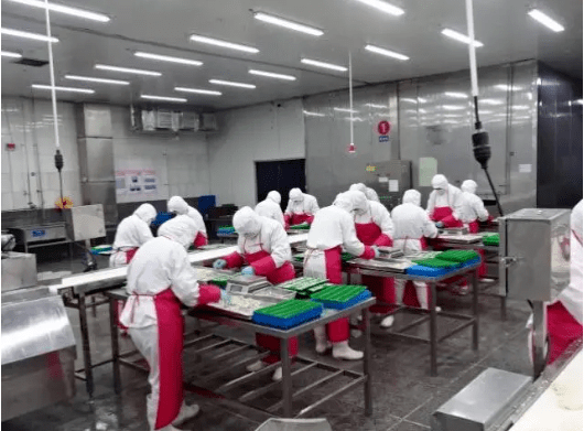 上云用数 赋智海九游会J9 J9九游会洋食品(图13)