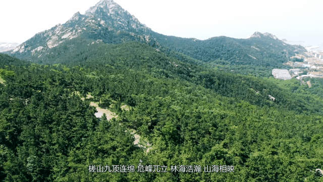 九游会J9 J9九游会“五一”到威海荣成寻觅“诗与远方”感受面朝大海 春暖花开(图10)