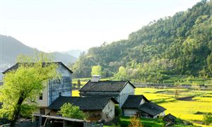 海洋类制品九游会J9 J9九游会有哪些 海洋类制品行业市场现状分析(图4)