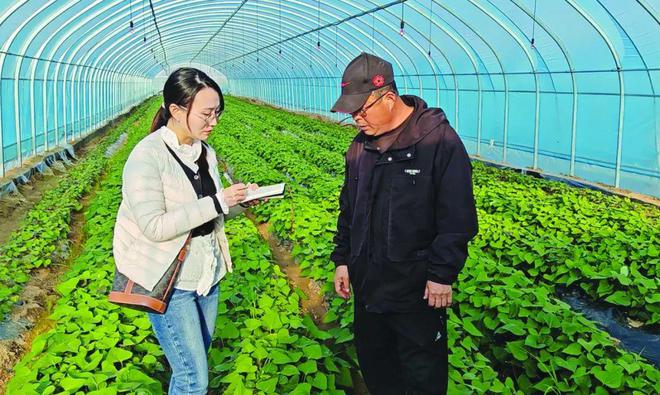 J9九游会 九游会J9荣成市：“甘薯大王”和他的“甜蜜事业”(图5)
