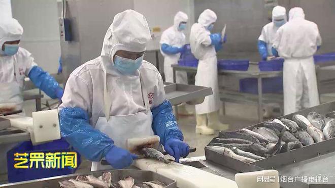 九游会J9 J9九游会海和海洋食品科技园一期工程正式投产(图2)