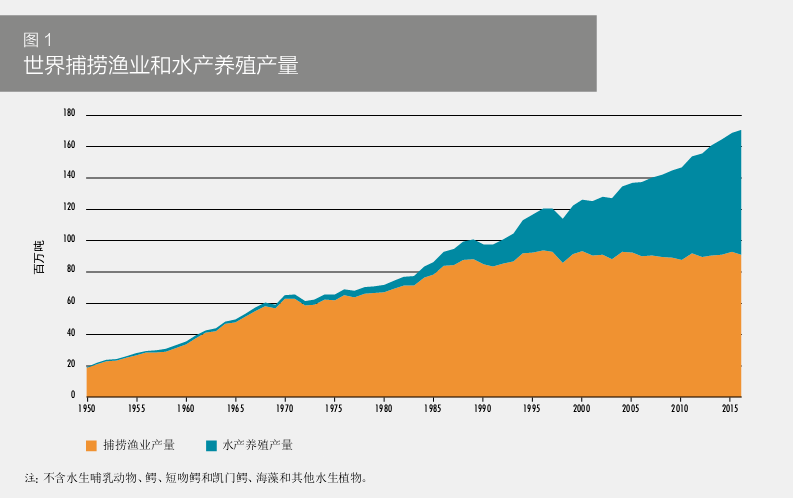 环保科普丨在海洋中“放牧”——海洋如何变粮仓？九游会J9 J9九游会(图3)