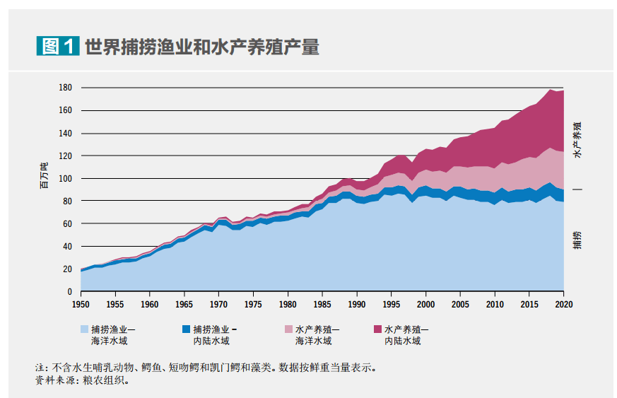 环保科普丨在海洋中“放牧”——海洋如何变粮仓？九游会J9 J9九游会(图4)