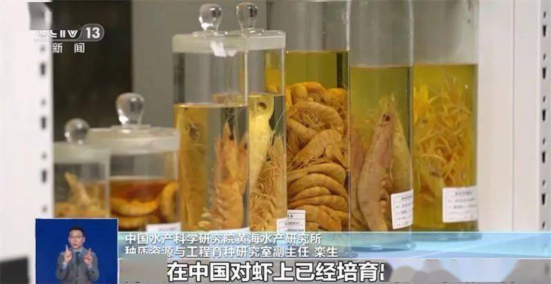 向海洋要食物“中国饭九游会J9 J9九游会碗”会有多丰富？建设“蓝色粮仓”我们这么干(图2)