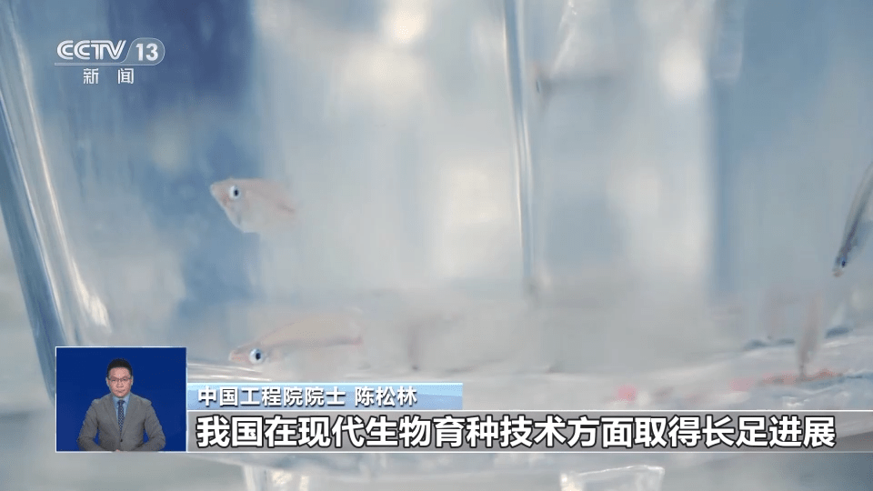向海洋要食物“中国饭碗”会有多丰富？建设“蓝色粮仓”我九游会J9 J9九游会们这么干→(图6)