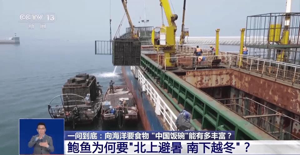 向海洋要食物“中国饭碗”会有多丰富？建设“蓝色粮仓”我九游会J9 J9九游会们这么干→(图2)