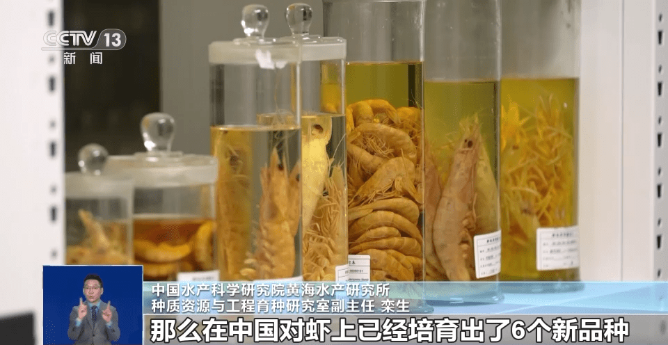 向海洋要食物“中国饭碗”会有多丰富？建设“蓝色粮仓”我九游会J9 J9九游会们这么干→(图5)