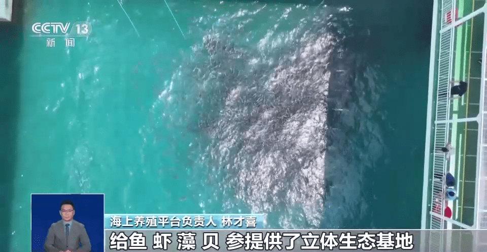 向海洋要食物“中国饭碗”会有多丰富？建设“蓝色粮仓”我九游会J9 J9九游会们这么干→(图4)