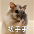 集合九游会J9 J9九游会竞价散户也能抓涨停？！后悔自己知道晚了！(图1)