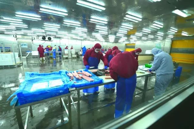 从卖原料到海洋食品名城——荣成40年海洋经济发展之海产品J9九游会 九游会J9加工篇(图6)