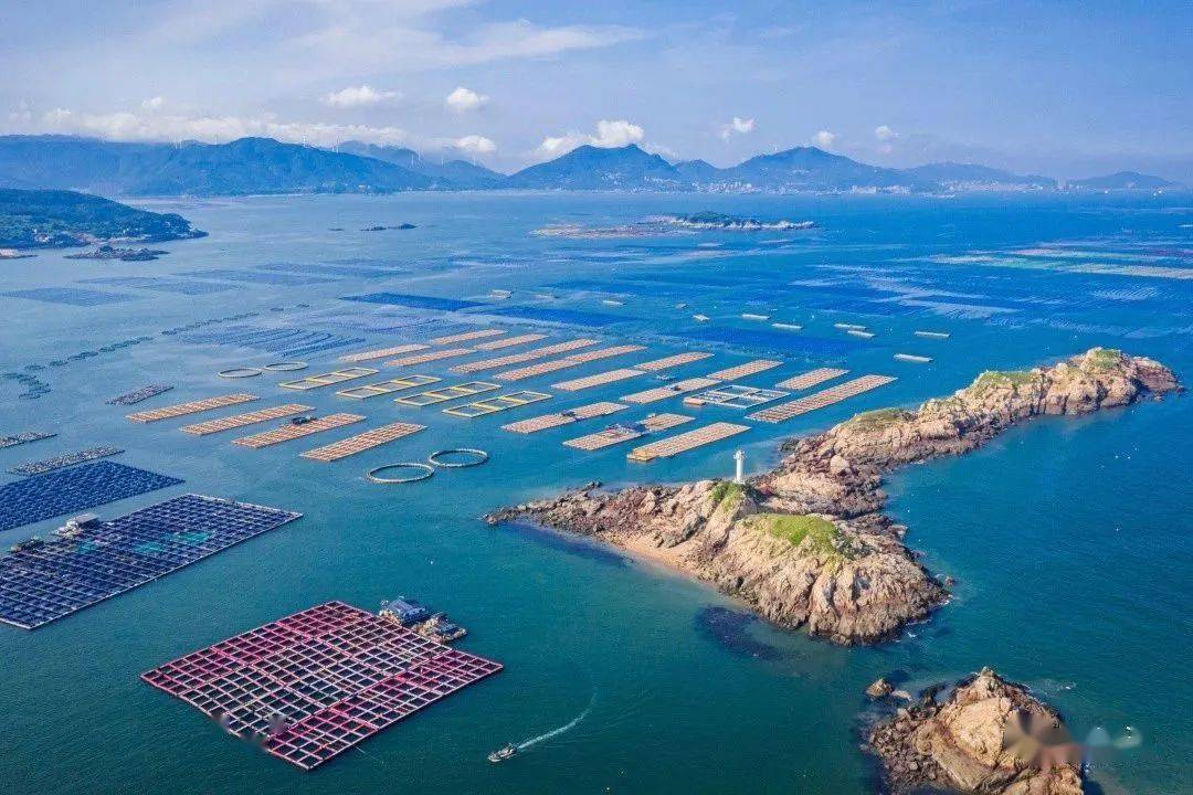 撬开海洋“金矿”！连江这家企业J9九游会 九游会J9做到了！(图8)