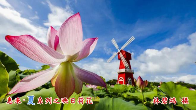【风味】潮汕菜九游会J9 J9九游会名扬海内外惠来海产品给预制菜餐桌送“鲜”(图7)