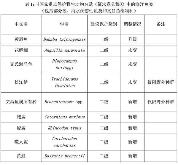 地球的一半｜那些上了重点保护名录的海鱼(图1)
