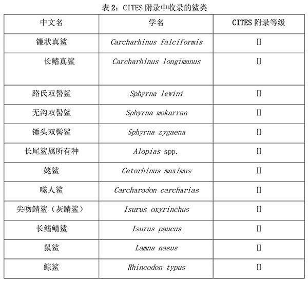 地球的一半｜那些上了重点保护名录的海鱼(图8)