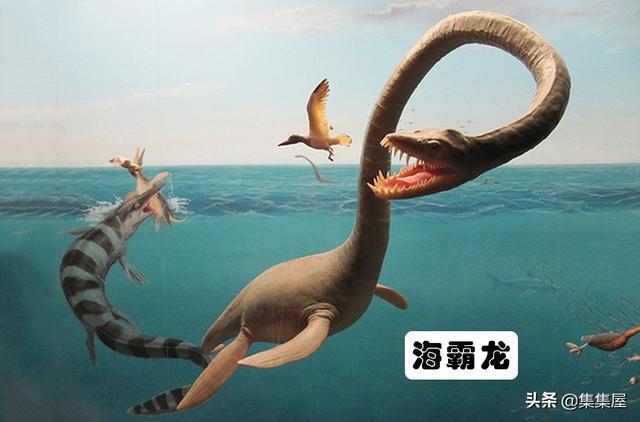 J9九游会 九游会J9地球上存在着或存在过的10大海洋巨兽(图3)