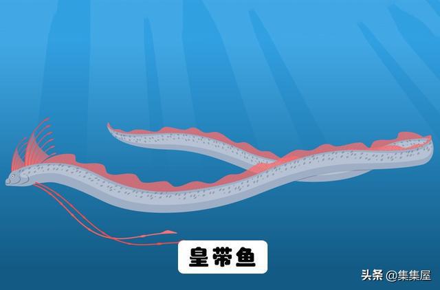 J9九游会 九游会J9地球上存在着或存在过的10大海洋巨兽(图9)