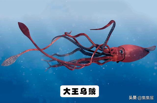 J9九游会 九游会J9地球上存在着或存在过的10大海洋巨兽(图6)