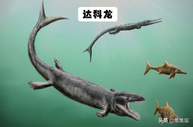 J9九游会 九游会J9地球上存在着或存在过的10大海洋巨兽(图11)