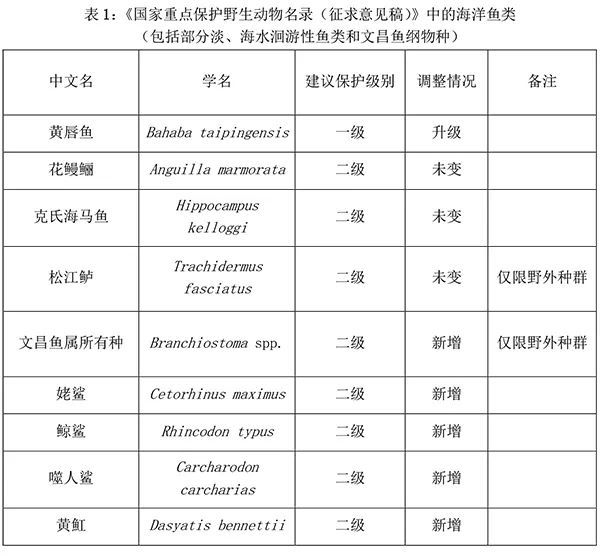 《国家重点保护野生动物名录（征求J9九游会 九游会J9意见稿）》中的海洋鱼类(图1)