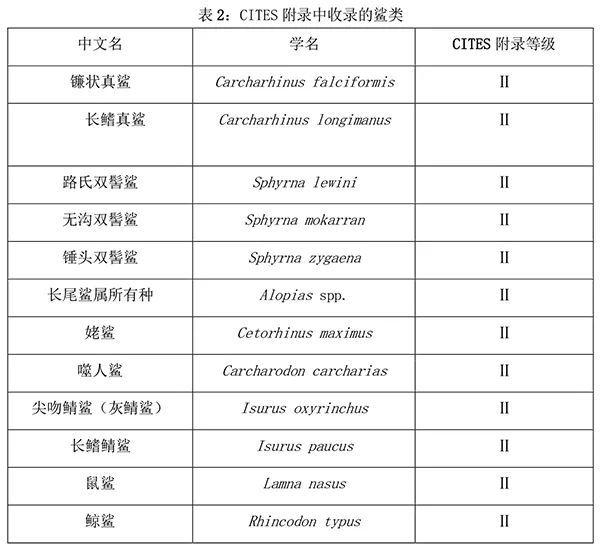 《国家重点保护野生动物名录（征求J9九游会 九游会J9意见稿）》中的海洋鱼类(图8)