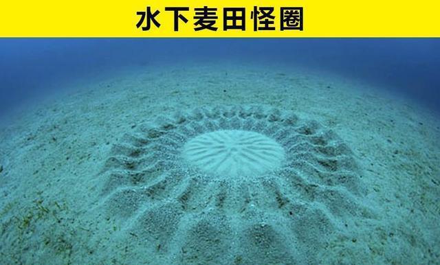 九游会J9 J9九游会在海洋中被发现的6件神秘而又离奇的事物(图6)