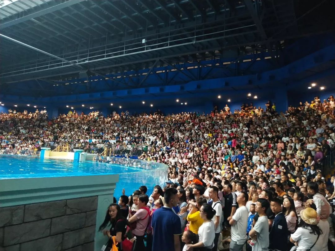 九游会J9 J9九游会大理海洋世界7月20日正式营业票价、地址、玩场看这里！(图1)