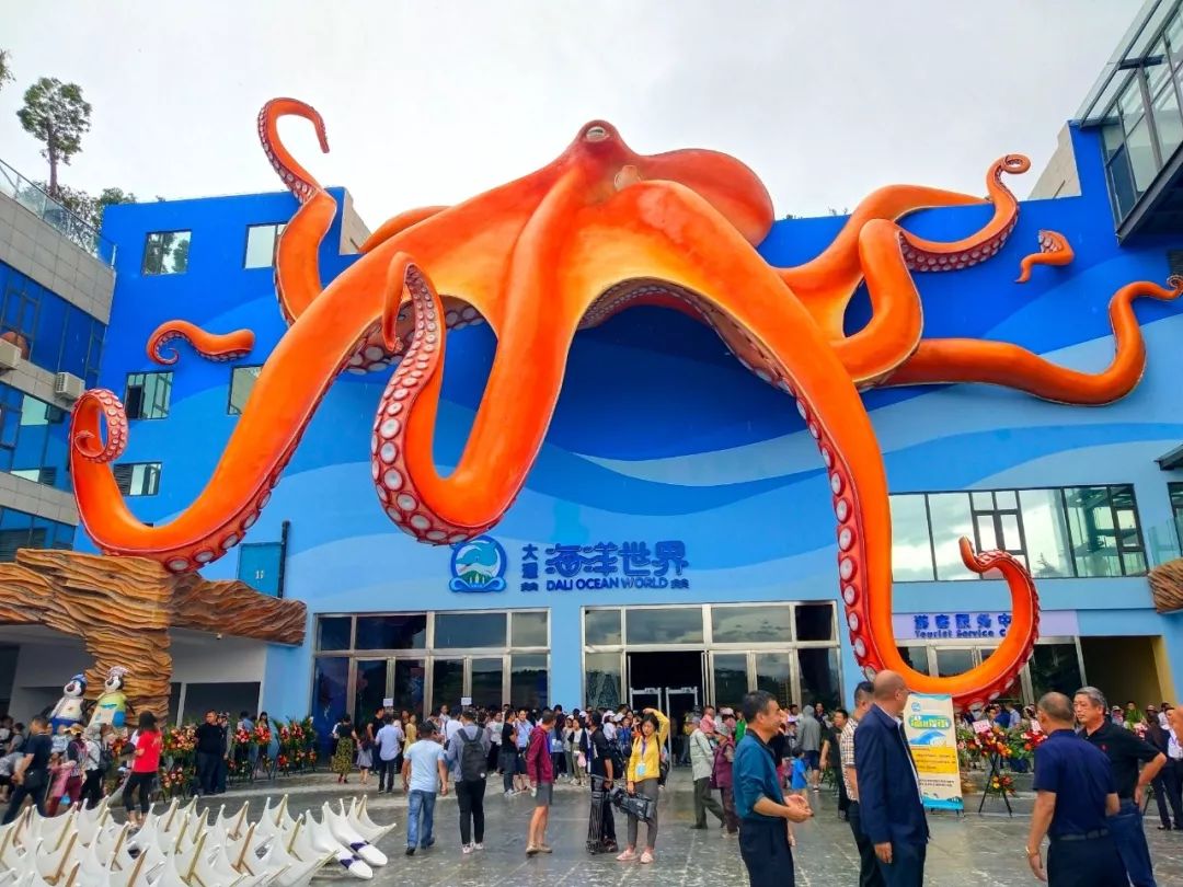九游会J9 J9九游会大理海洋世界7月20日正式营业票价、地址、玩场看这里！(图2)