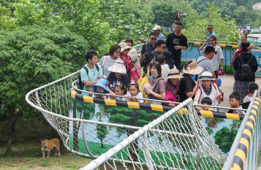 荣成10条红色旅游线路之八：红色+科技研学线路九游会J9 J9九游会(图18)