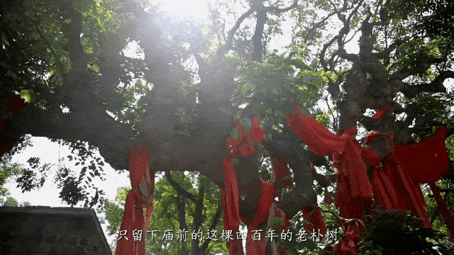 荣成10条红色旅游线路之八：红色+科技研学线路九游会J9 J9九游会(图22)