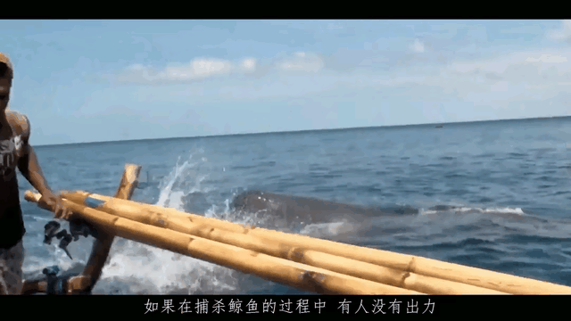 原始捕鲸猎人：用最简陋的武器就能捕五条10米长九游会J9 J9九游会的抹香鲸(图7)