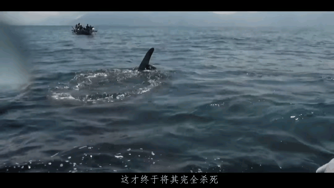原始捕鲸猎人：用最简陋的武器就能捕五条10米长九游会J9 J9九游会的抹香鲸(图12)