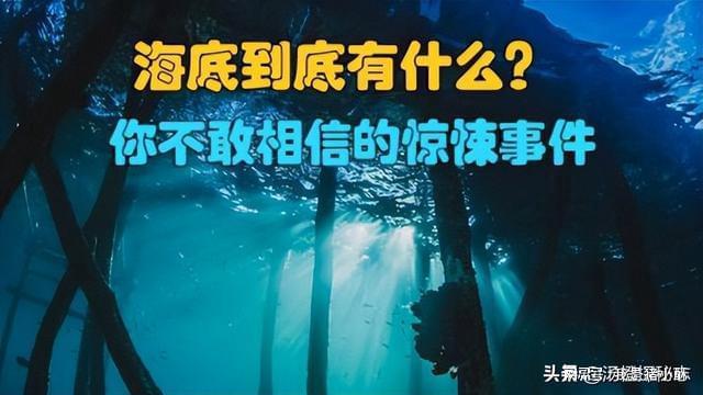 J9九游会 九游会J9海底到底有什么？你不敢相信的惊悚事件(图1)