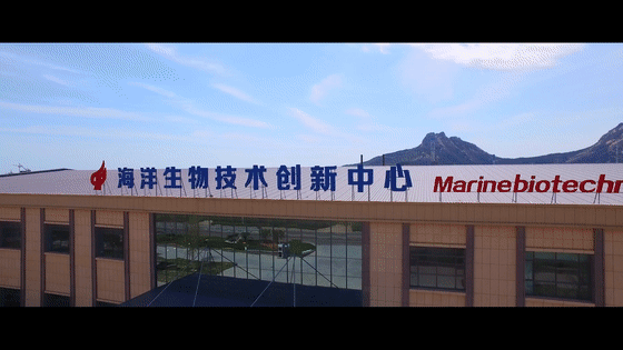 九游会J9 J9九游会11个项目签约！威海荣成市“5＋2”七大产业链动能强劲(图4)