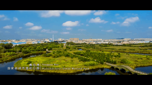 九游会J9 J9九游会11个项目签约！威海荣成市“5＋2”七大产业链动能强劲(图15)