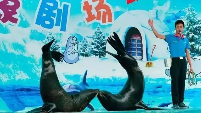 【活动】小梅沙海洋世九游会J9 J9九游会界终于降价！￥160降到￥699！门票全天可用！手慢无！(图12)