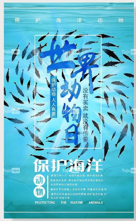 九游会J9 J9九游会世界海洋日海报设计 - 保护海洋创意主题素材(图4)