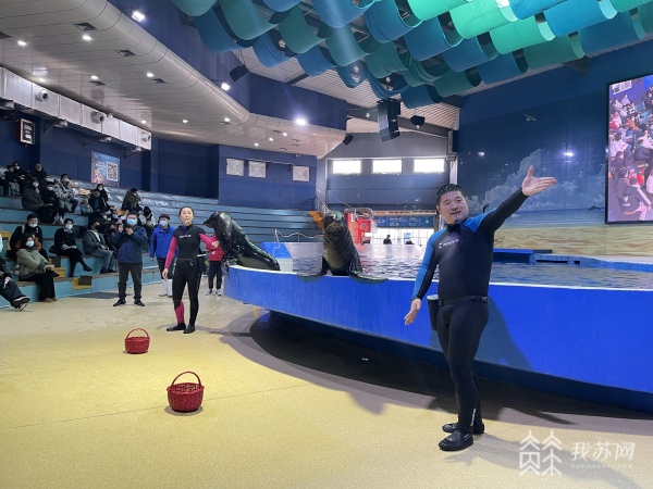 J9九游会 九游会J9海洋馆也能看“兔子” 南京海底世界推出春节海底动物拜年大赏(图1)