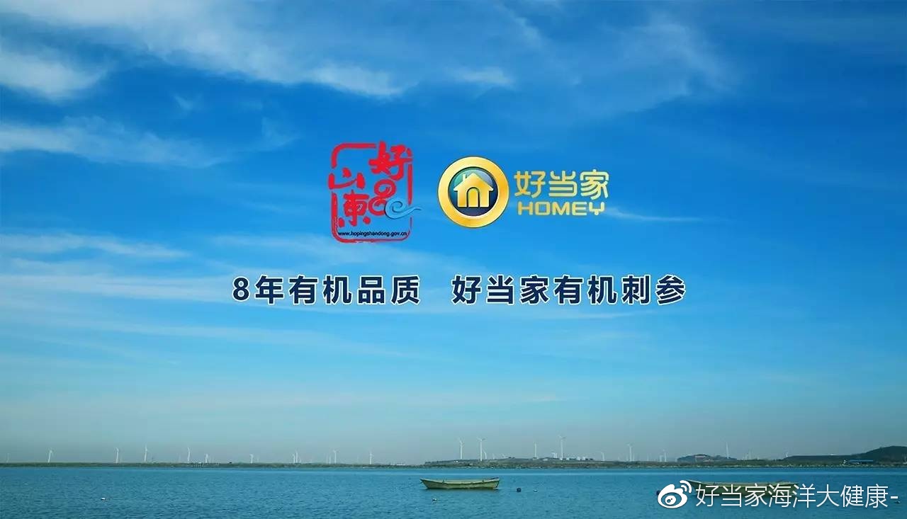 中国品牌日海洋文化九游会J9 J9九游会诠释好当家精神(图3)