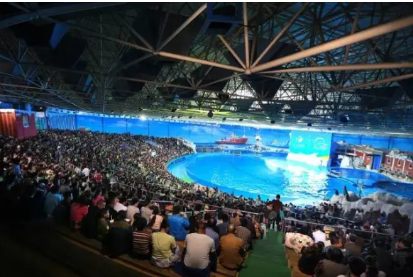 青岛海昌极地海洋世界门票多少钱一张J9九游会 九游会J9？怎么买便宜？(图3)