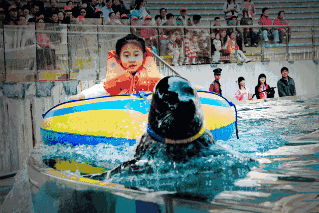 九游会J9 J9九游会深圳小梅沙海洋世界门票价格是多少在哪里购票以及购票指南(图2)