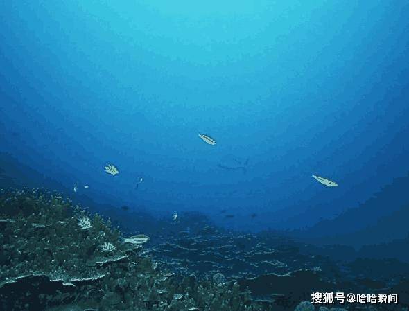 为什么至今为止海洋的九游会J9 J9九游会奥秘还未探明？科学家给出3个原因(图2)