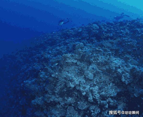 为什么至今为止海洋的九游会J9 J9九游会奥秘还未探明？科学家给出3个原因(图3)